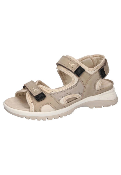 5_beige