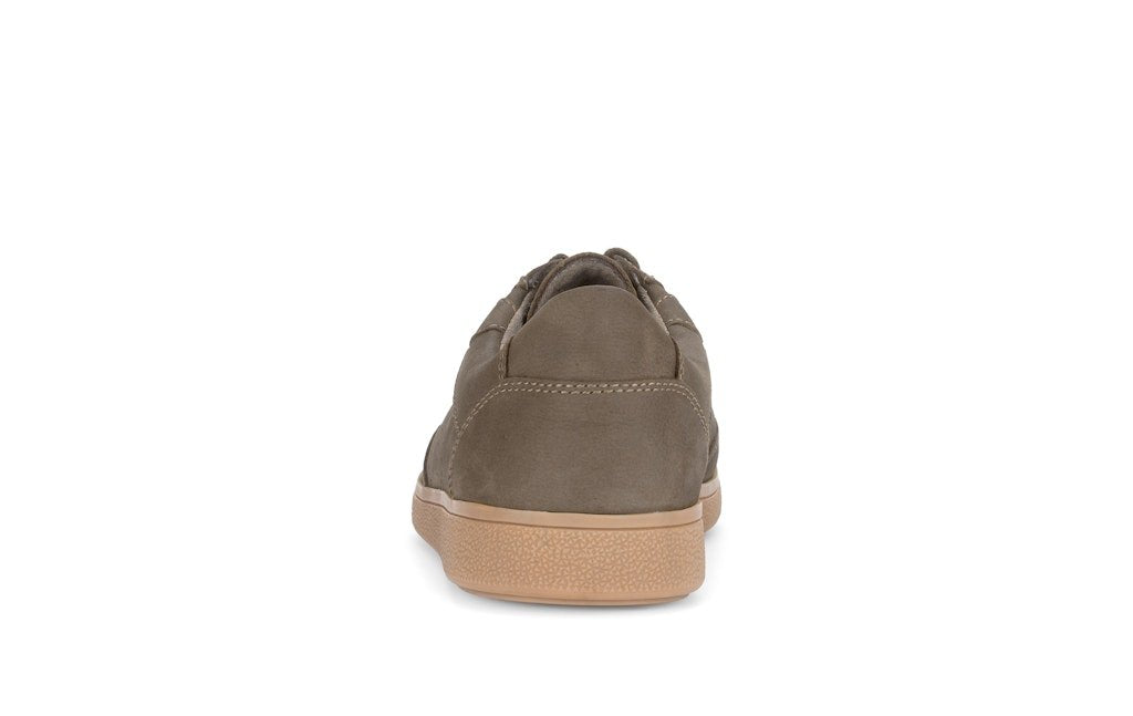 6,5_olive