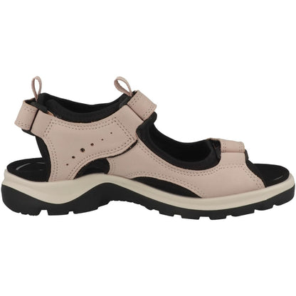 37_beige