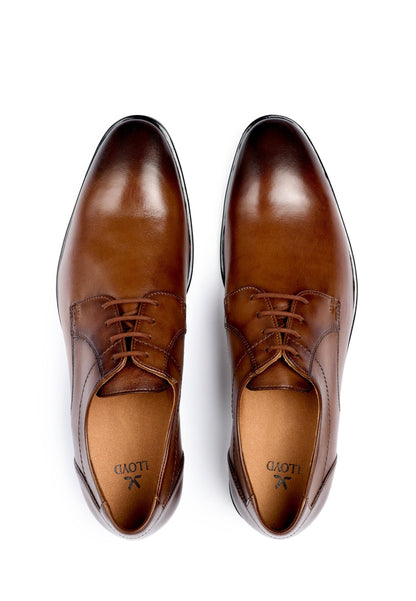 6,5_cognac