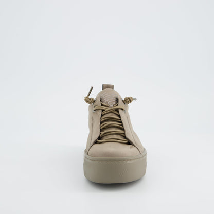 8_beige