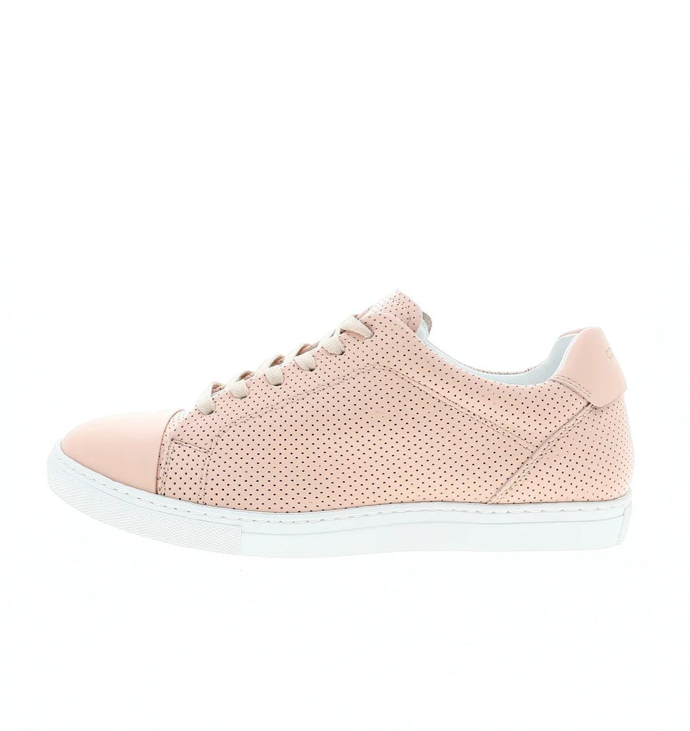 37_rosa