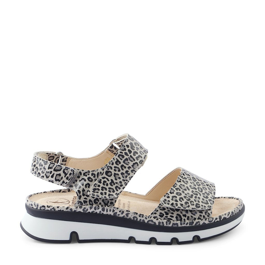 39_animal_print