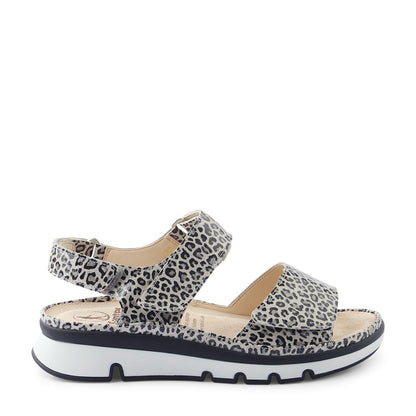 39_animal_print
