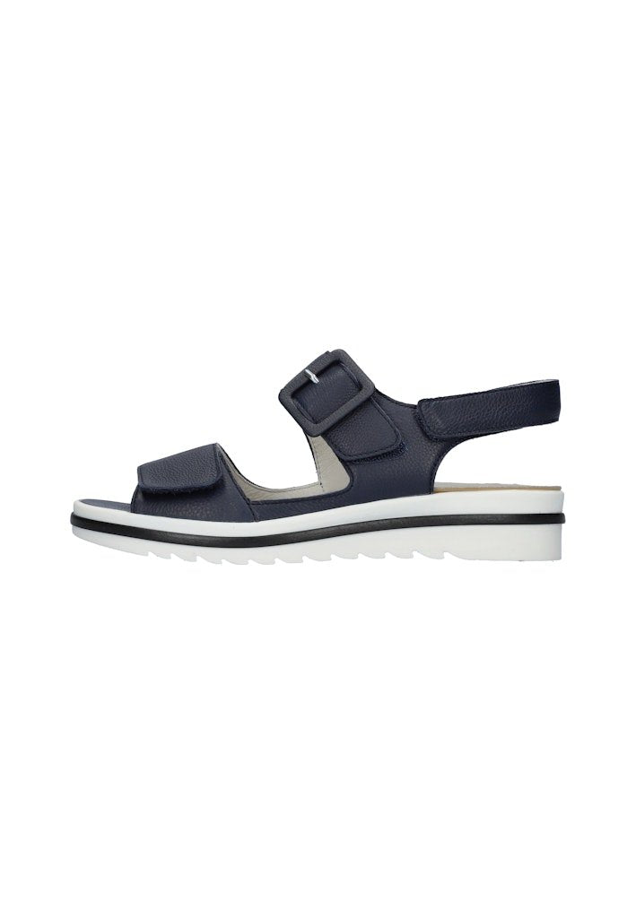 5,5_blau