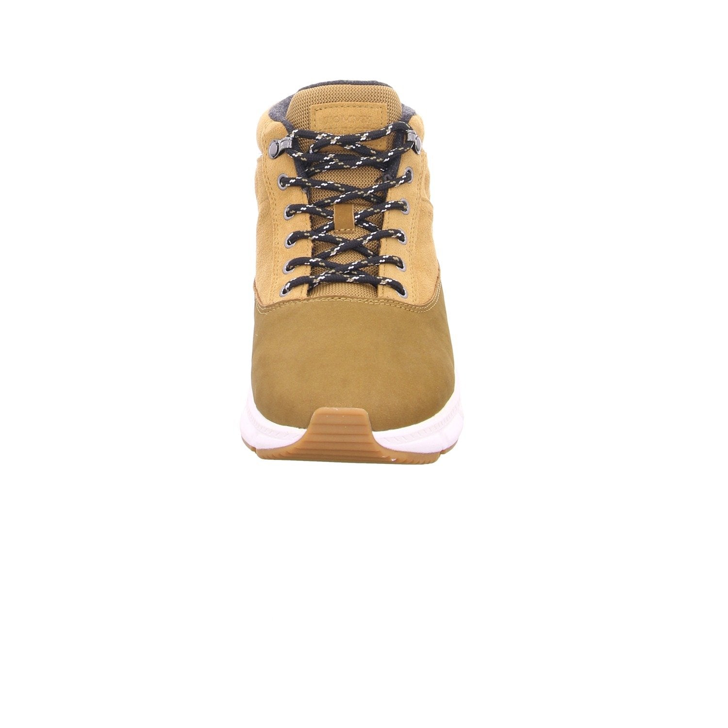 41_camel
