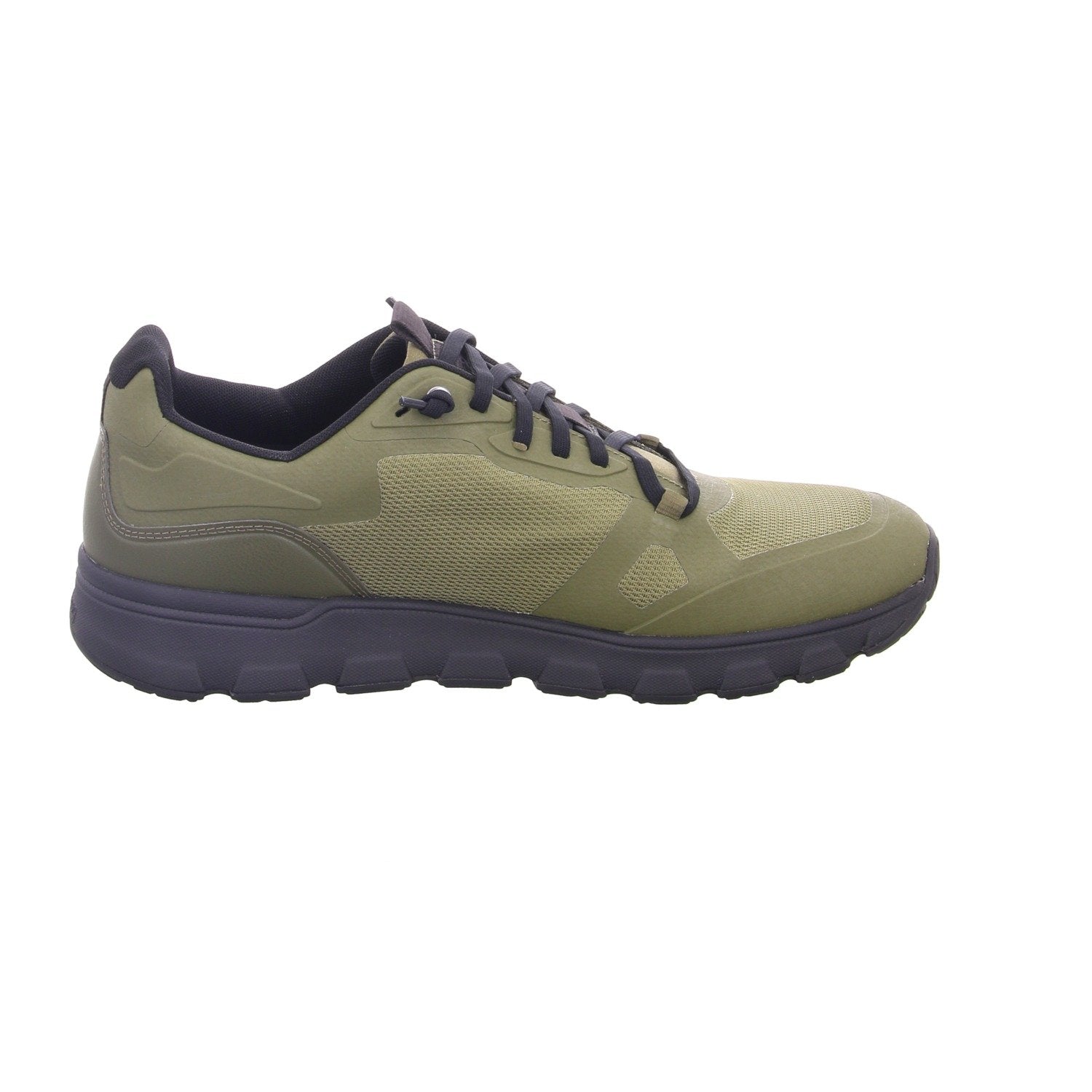 8_olive