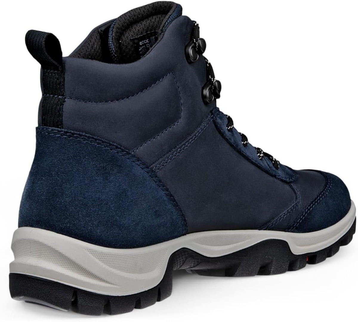 41_uni