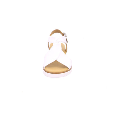 5_uni