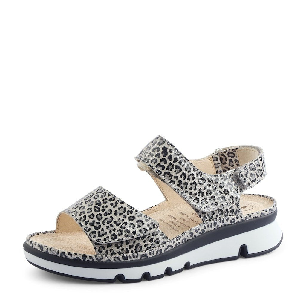 39_animal_print