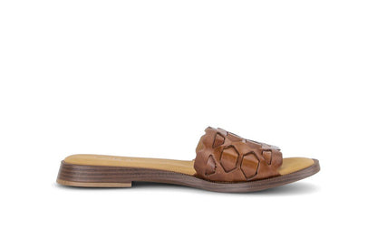 3,5_Braun