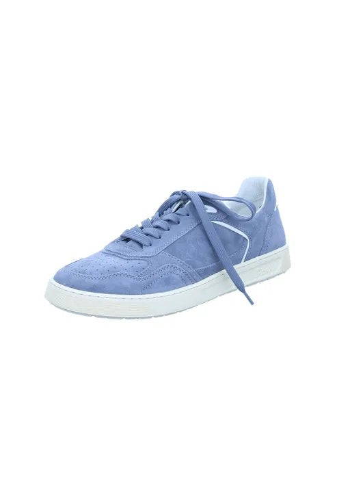 41_blau